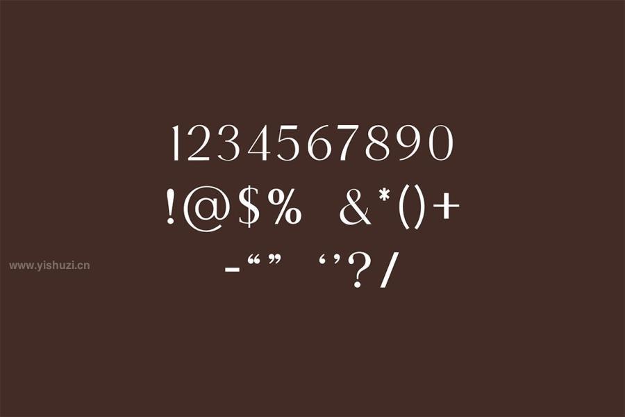 ysz-202465 Brunizer-Display-Serif-Fontz8.jpg
