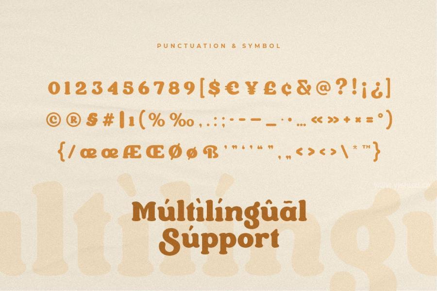 ysz-202476 Faringa---Vintage-Bold-Serif-Fontz17.jpg
