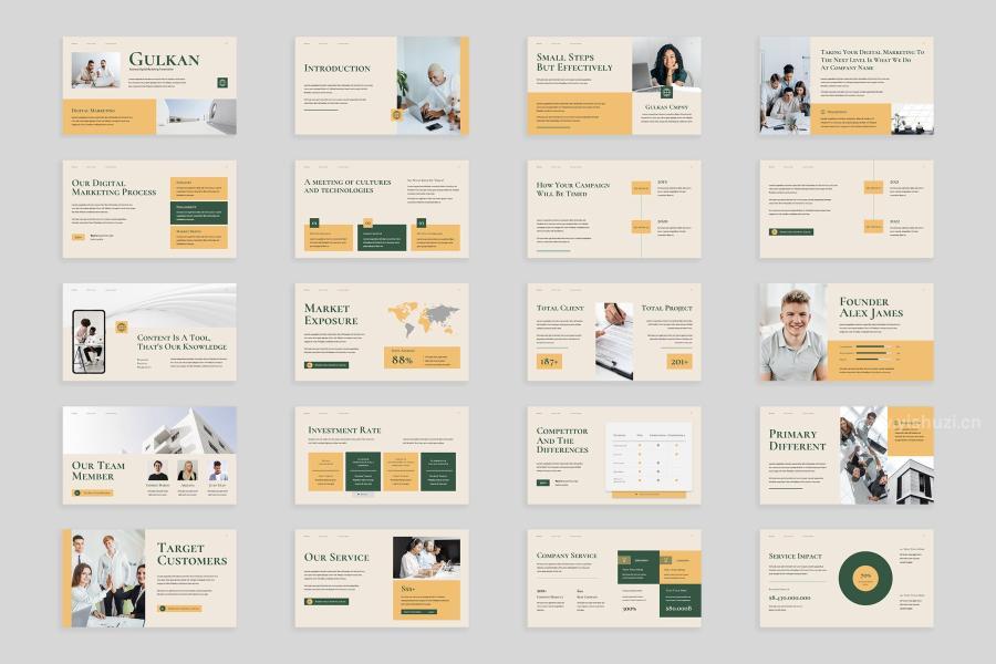 ysz-202495 Creative-Tan-Green-Digital-Marketing-023z4.jpg
