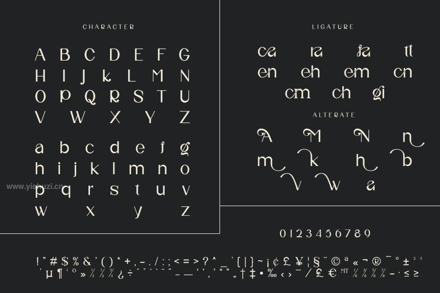 ysz-202306 Nifa-Unique-Sans-Serif-Typefacez4.jpg