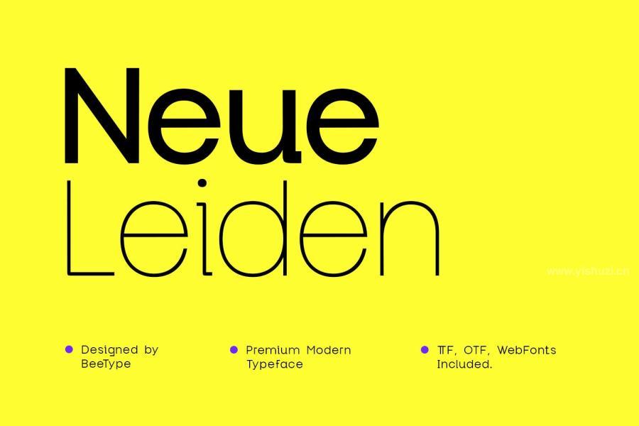 ysz-202314 Neue-Leiden-Typefacez2.jpg
