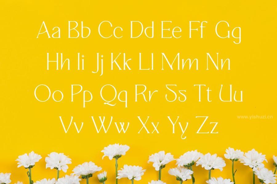 ysz-100066 Quisking---Display-Serif-Fontz11.jpg