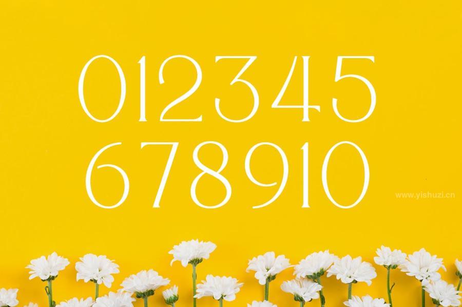 ysz-100066 Quisking---Display-Serif-Fontz13.jpg