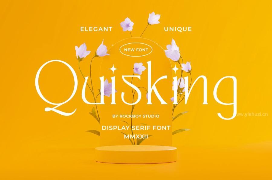 ysz-100066 Quisking---Display-Serif-Fontz7.jpg