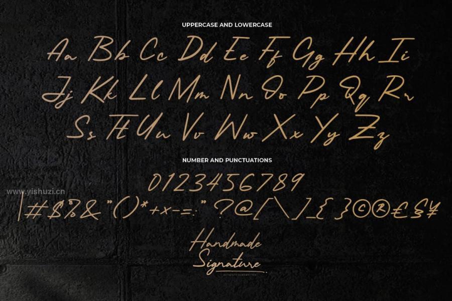 ysz-100072 Handmade-Signature---Authentic-Handwrittenz5.jpg