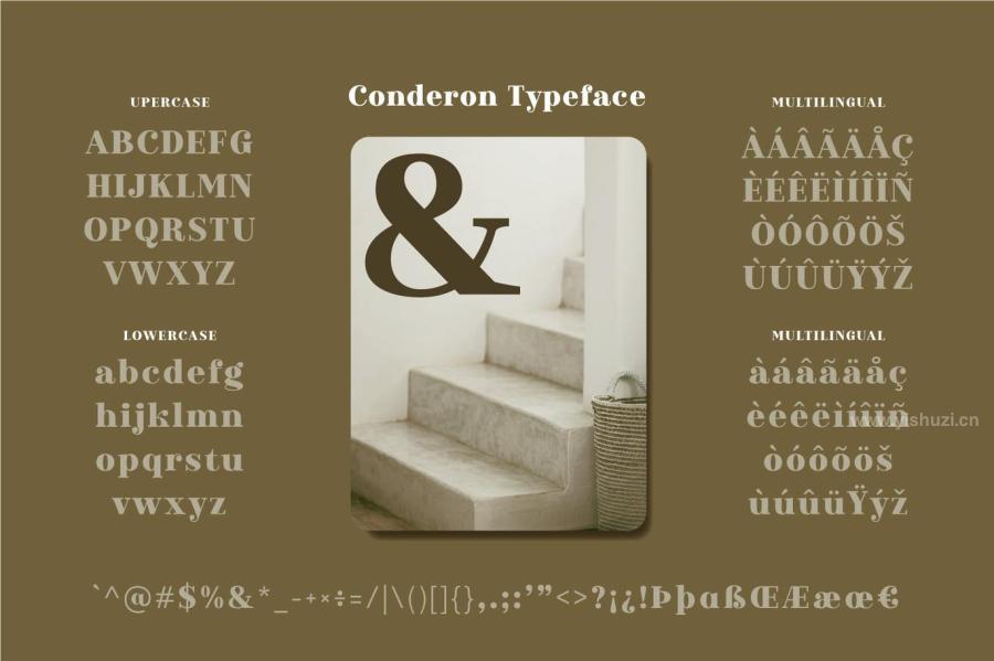 ysz-200117 Conderonz3.jpg