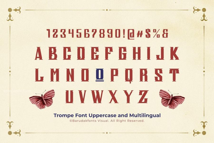 ysz-200126 Trompe---Serif-Vintage-Displat-Fontz3.jpg