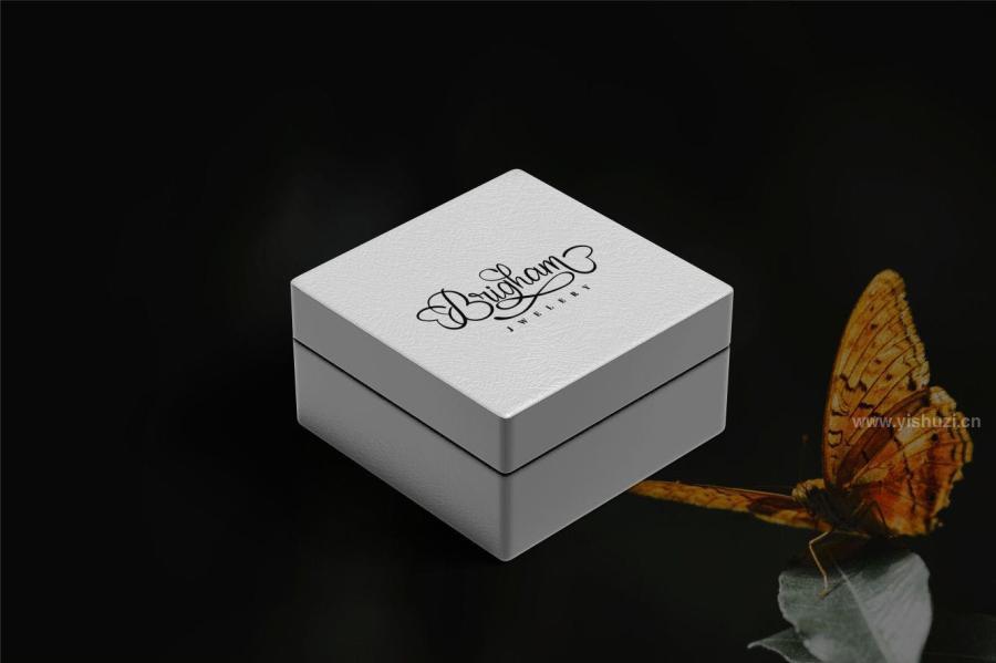 ysz-200138 Butterfly-Modern-Script-Fontz4.jpg