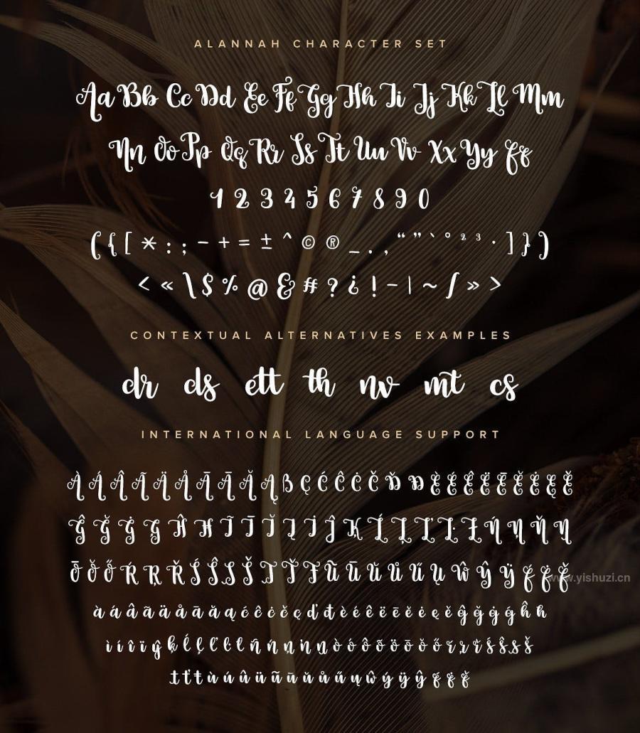 ysz-200172 Alannah-Script-Fontz4.jpg