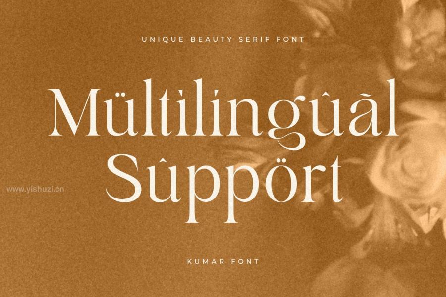 ysz-200194 Kumar---Unique-Beauty-Serif-Fontz12.jpg
