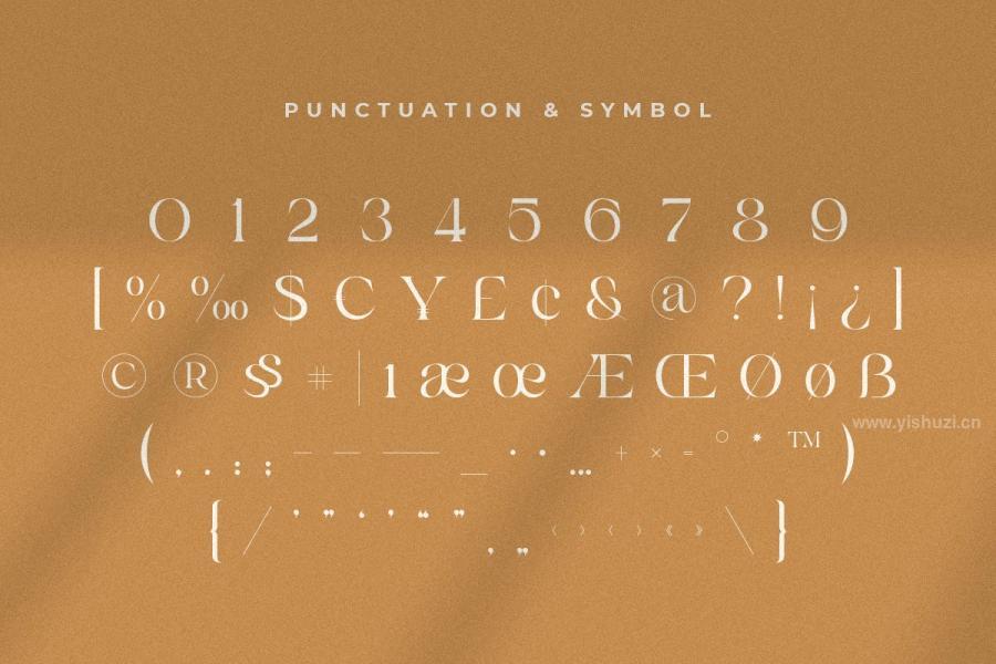 ysz-200194 Kumar---Unique-Beauty-Serif-Fontz17.jpg