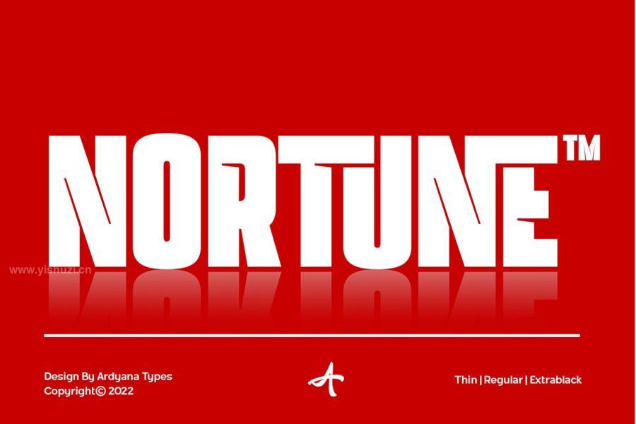 ysz-200213 Nortunez3.jpg