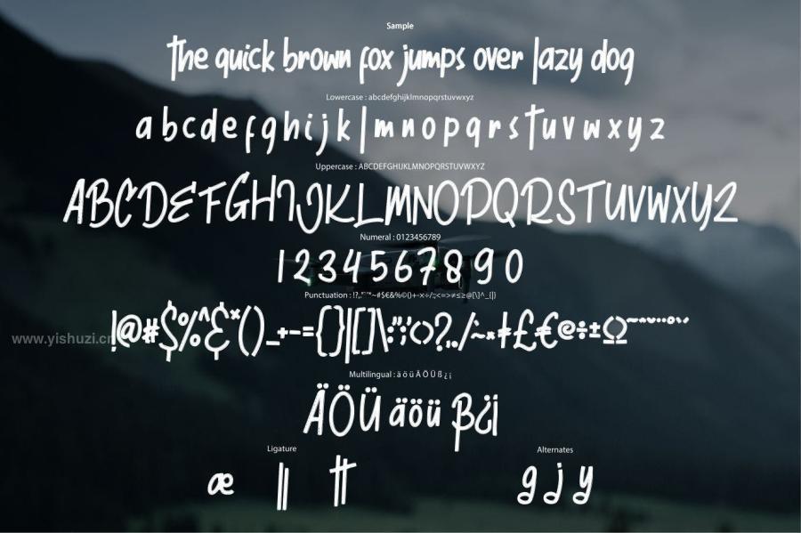 ysz-200217 Anttuno-Bold-Brush-Fontz6.jpg