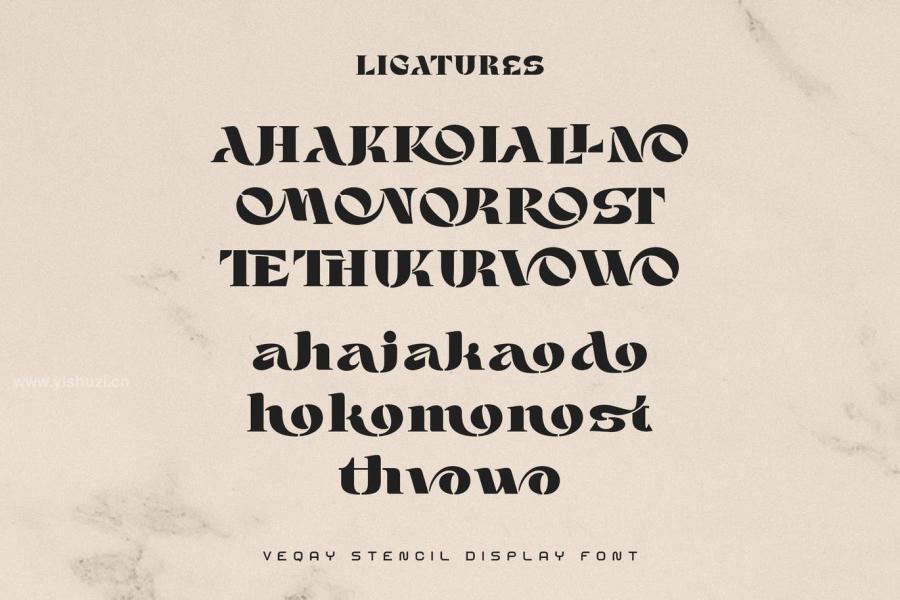 ysz-200221 VEQAY-Typefacez8.jpg
