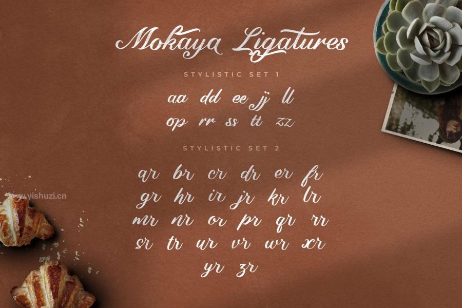 ysz-200228 Mokaya-Script-Fontz13.jpg
