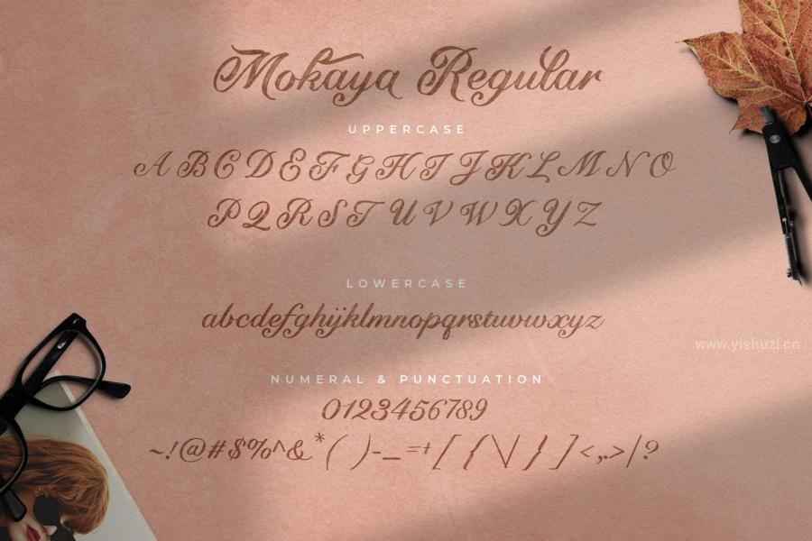 ysz-200228 Mokaya-Script-Fontz6.jpg