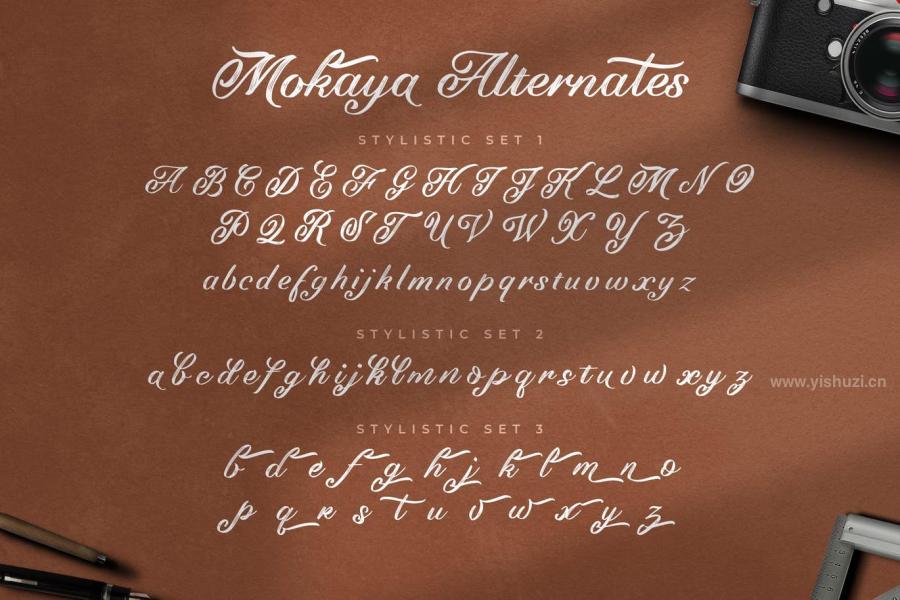 ysz-200228 Mokaya-Script-Fontz8.jpg