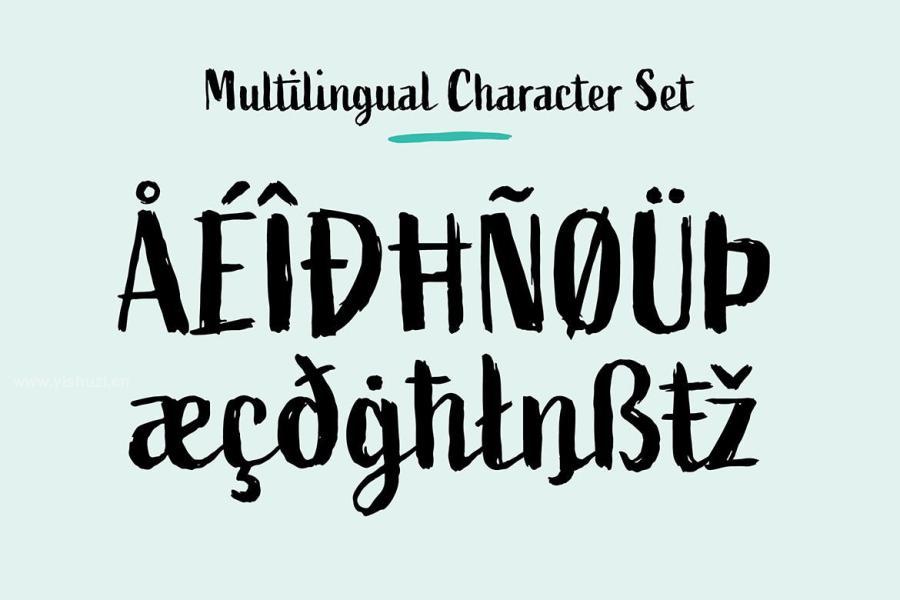 ysz-200315 Active-Font-Familyz6.jpg