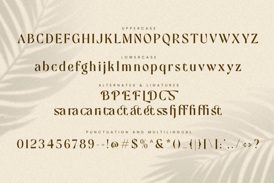 ysz-200324 Mofista-Nostalgic-Serif-Typefacez3.jpg