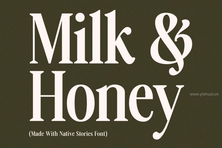 ysz-200398 Native-Stories---Classic-Serif-Fontz6.jpg