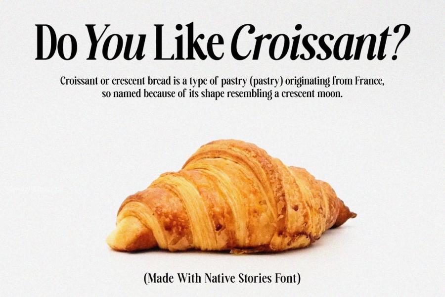 ysz-200398 Native-Stories---Classic-Serif-Fontz9.jpg