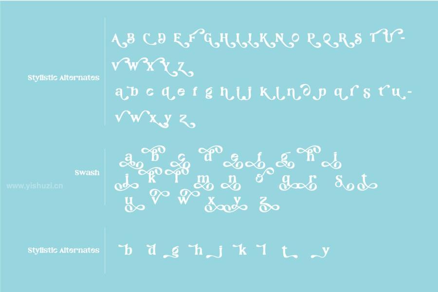 ysz-200407 Windec---Serif-Display-Fontz10.jpg