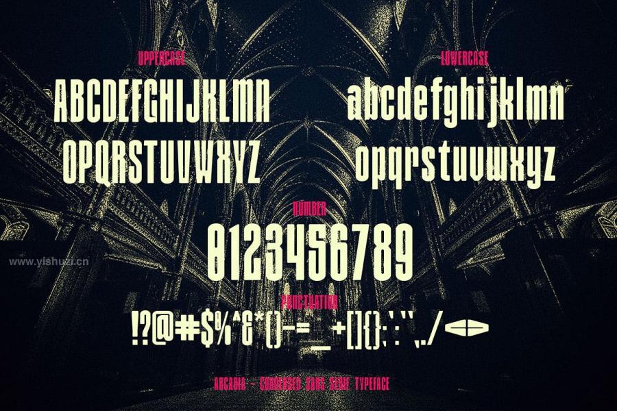 ysz-200415 Arcadia---Condensed-Sans-Serif-Typefacez5.jpg