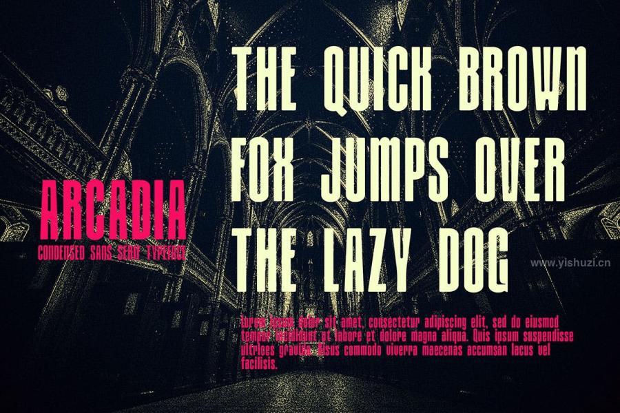 ysz-200415 Arcadia---Condensed-Sans-Serif-Typefacez6.jpg