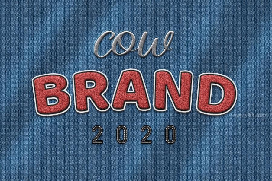 ysz-200444 Fabric-Text-Effectsz8.jpg