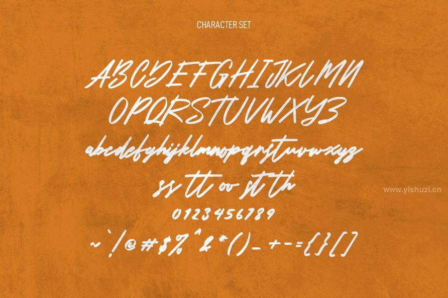 ysz-200556 Carputins-Signature-Bold-Script-Fontz6.jpg