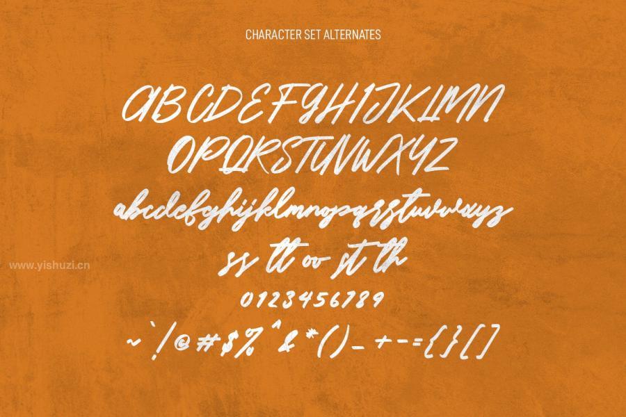 ysz-200556 Carputins-Signature-Bold-Script-Fontz7.jpg