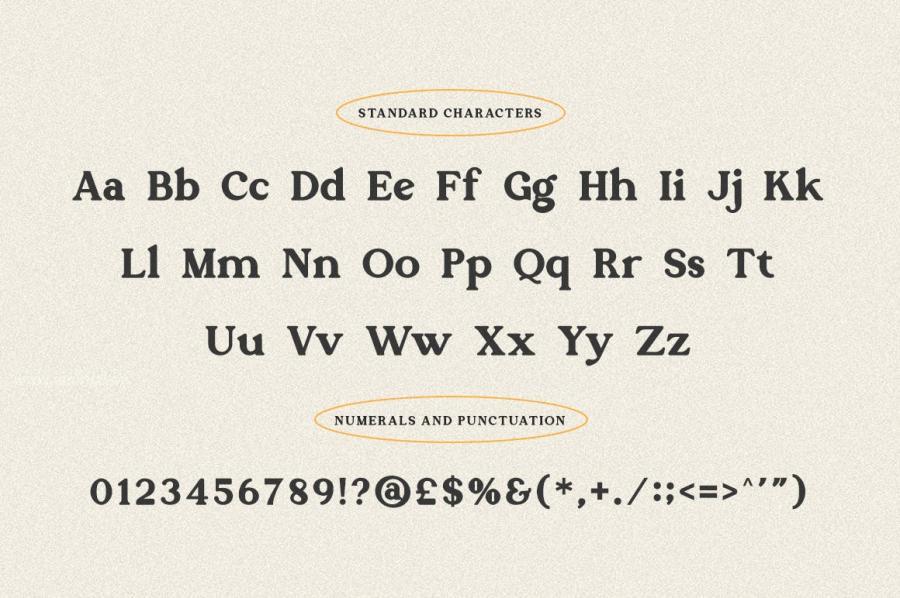 ysz-200622 Carriage---Modern-Retro-Serif-Fontz5.jpg