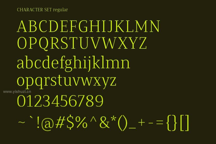 ysz-200669 Valveto-Serif-Fontz3.jpg