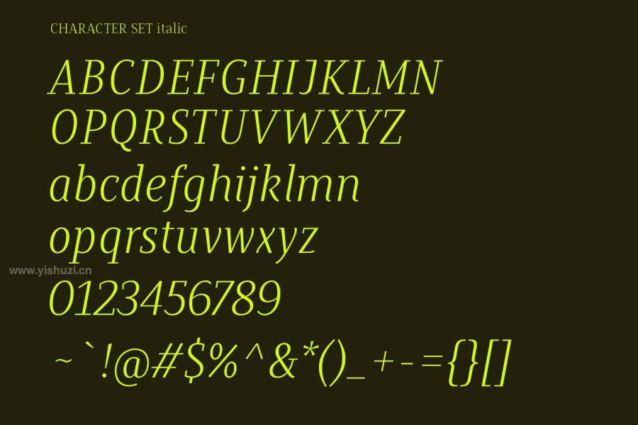 ysz-200669 Valveto-Serif-Fontz7.jpg