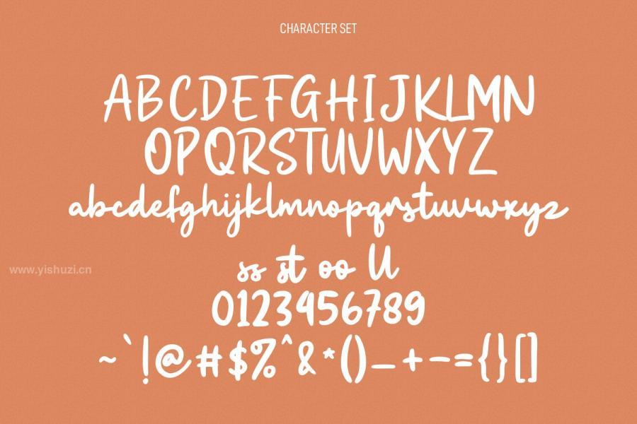 ysz-200690 Deforest-Handwritten-Script-Fontz8.jpg