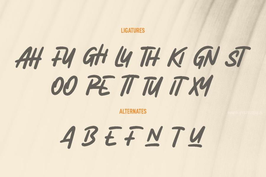 ysz-200691 Arghfunks-Fandwritten-Display-Fontz4.jpg