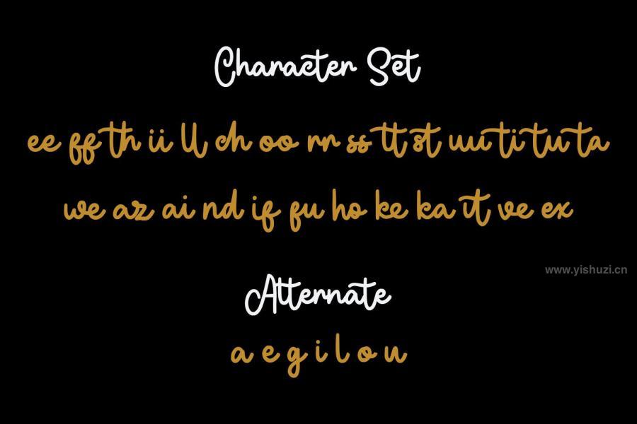 ysz-200692 Boyflare-Cursive-Script-Fontz10.jpg