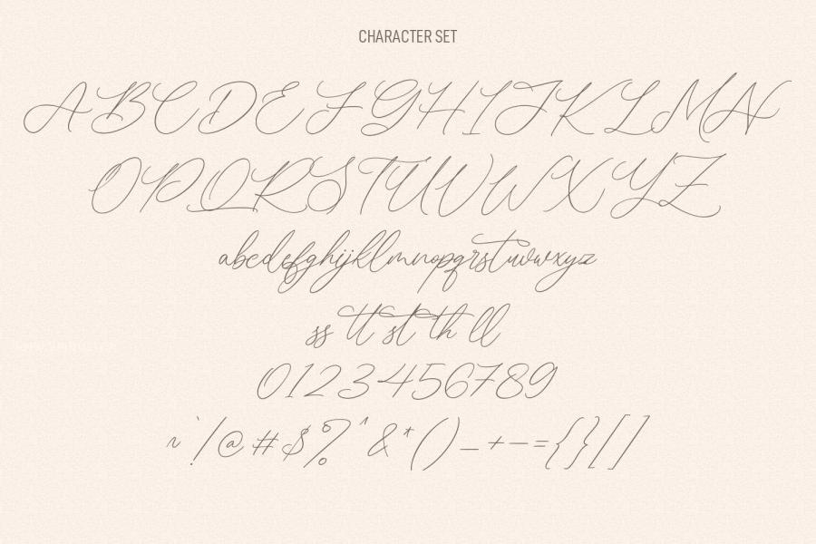 ysz-200694 Norlandy-Beauty-Script-Fontz10.jpg