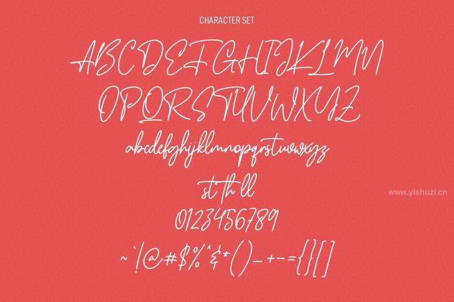 ysz-200696 Salystacy-Monoline-Signature-Script-Fontz10.jpg