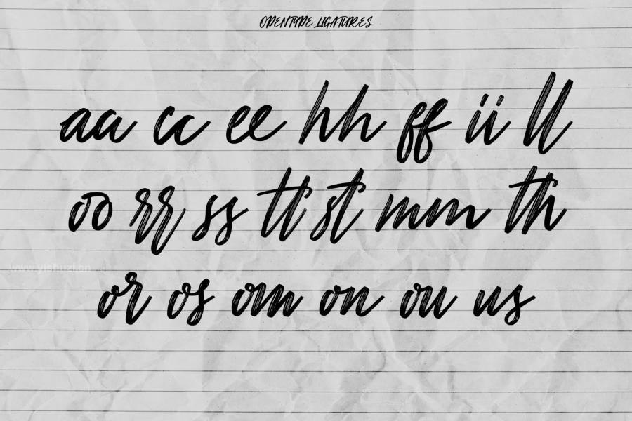 ysz-200697 Grandetrix-Brush-Script-Fontz10.jpg