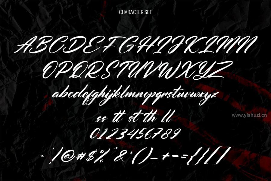 ysz-200698 Corynette-Signature-Script-Fontz3.jpg