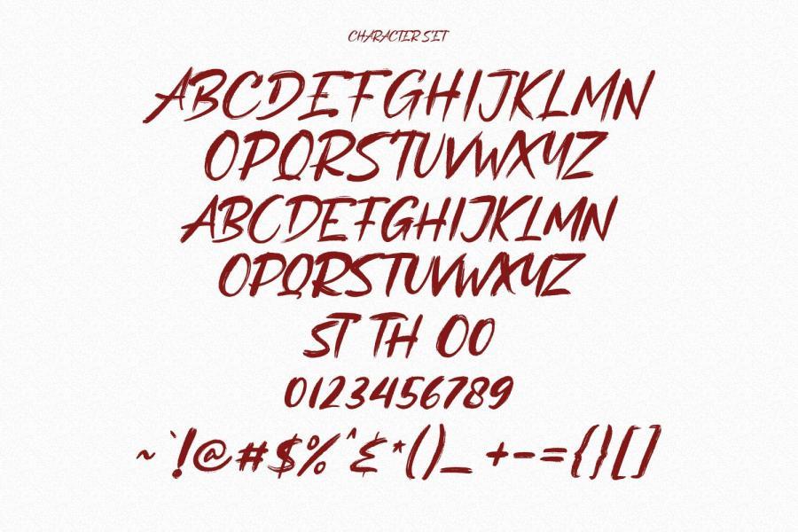 ysz-200699 Etherus-Brush-Handwritten-Fontz8.jpg