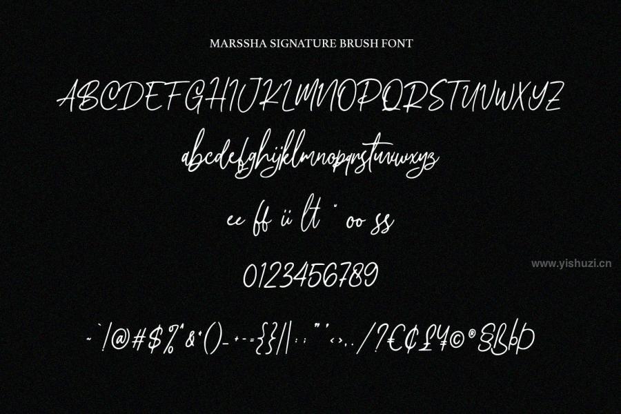 ysz-200714 Marssha-Brush-Signaturez4.jpg