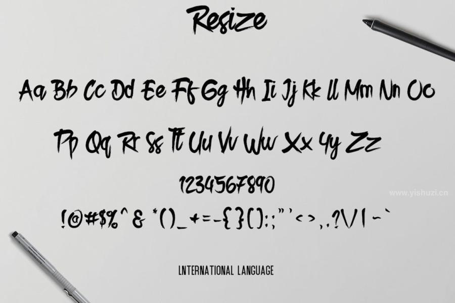 ysz-200978 Resize-Typefacez4.jpg