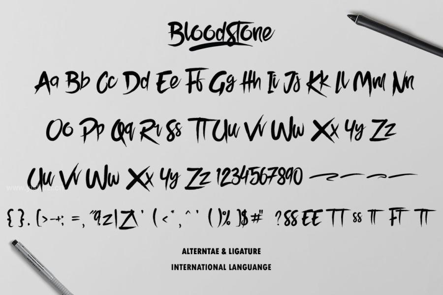ysz-200980 BloodStone-Typefacez6.jpg