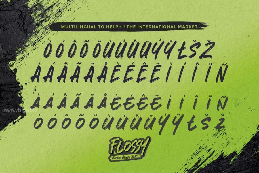 ysz-200986 Flossy---Rough-Brush-Fontz7.jpg
