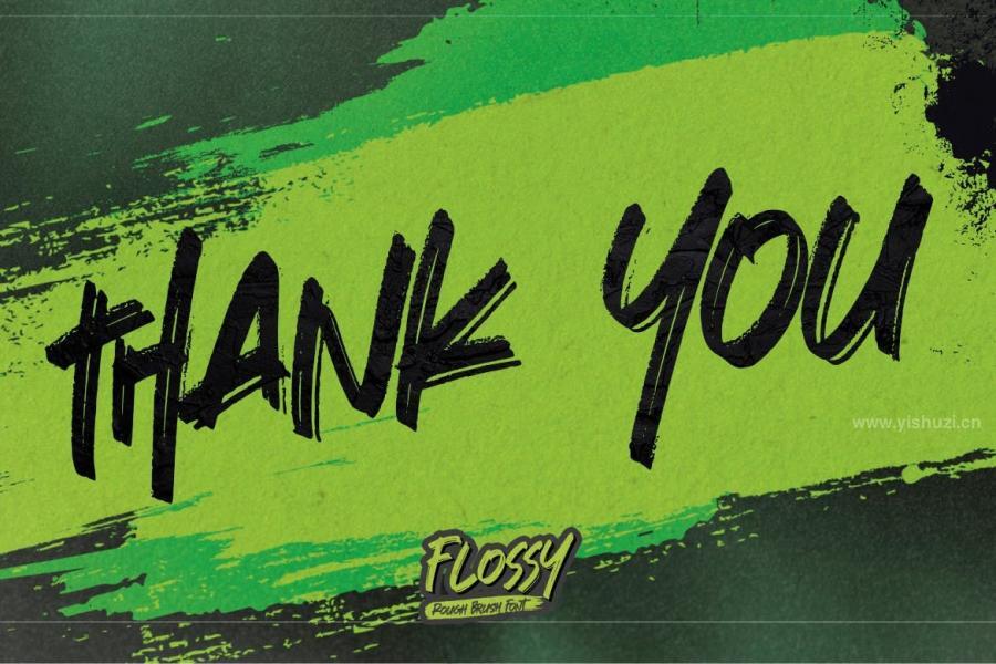 ysz-200986 Flossy---Rough-Brush-Fontz8.jpg