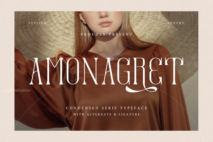 ysz-201012 Amonagret---Condensed-Serif-Typefacez2.jpg