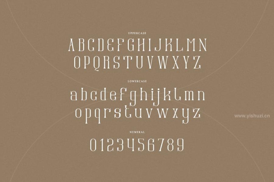 ysz-201012 Amonagret---Condensed-Serif-Typefacez5.jpg