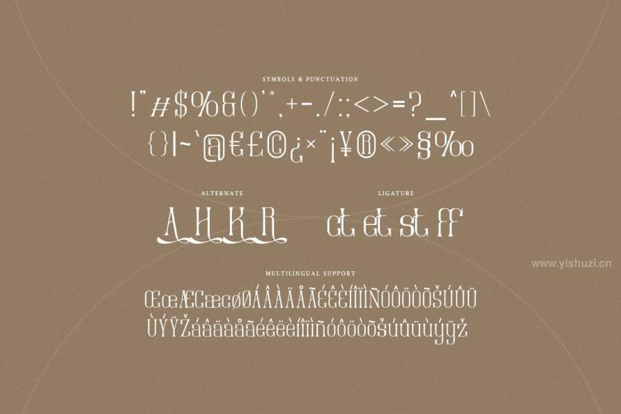 ysz-201012 Amonagret---Condensed-Serif-Typefacez9.jpg